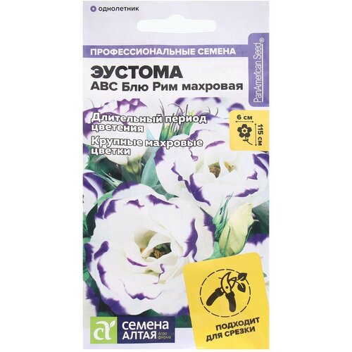 ���������� ������ ������ ������� ABC ��� ��� ��������, ��, 5 ��.