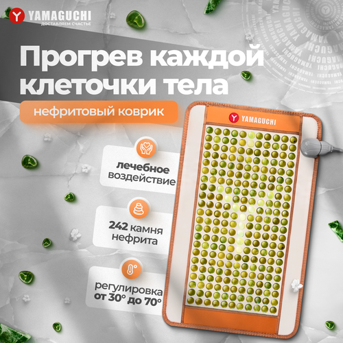 ���������� ���������� ������ Yamaguchi Nephrite Therapy