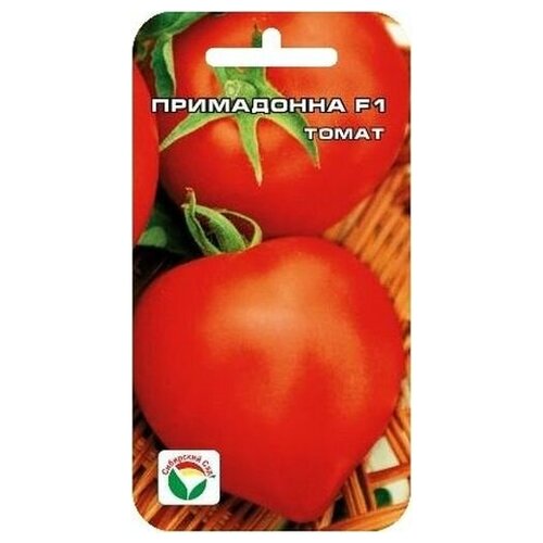 ���������� ������ ��������� ��� 