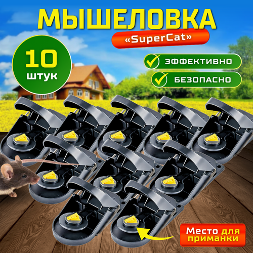 ���������� ��������� SuperCat, 10 ��.