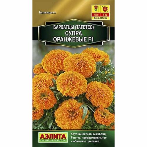 ���������� ������ �������� ����� ��������� F1 ����������, (������) 10��