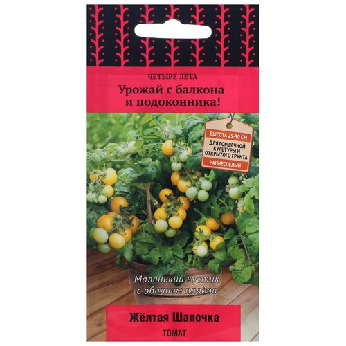 ���������� ������ ����� ������ ���� ����� ������ ������� 5 ��.