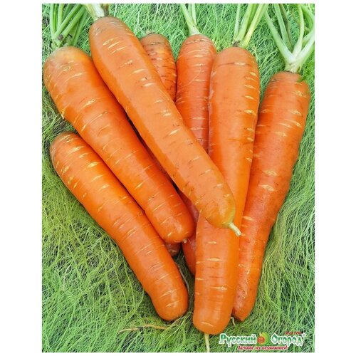 ���������� ������. ������� �� (���: 2 �)