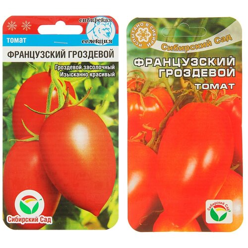 ���������� ������ ����� 