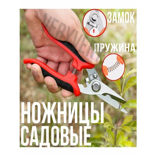 ���������� ������� ������� ������� ��� ������ � ������