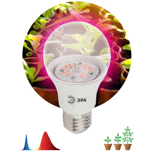 ���������� ��������� ��� �������� ������������ ��� FITO-14W-RB-E27-K ������-������ ������� 14 �� �27 (2 ��)