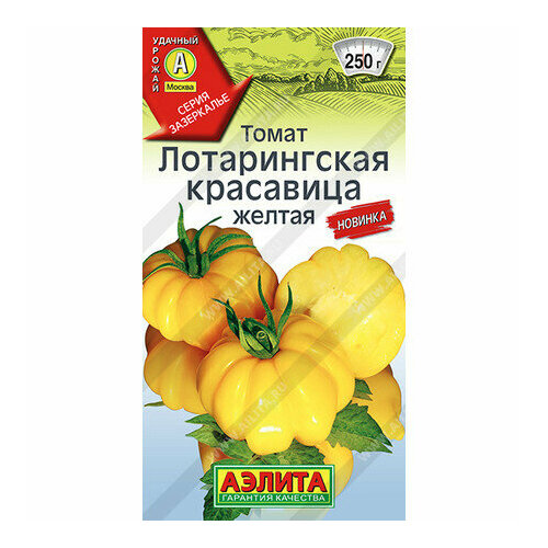 ���������� ������ ����� ������������ ��������� ������ 20�� ����� (������)