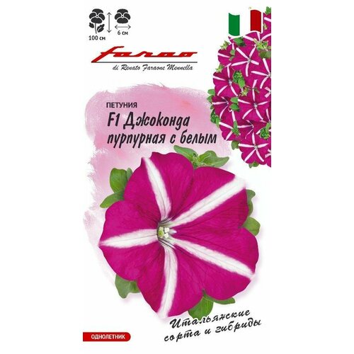 ���������� ������ ������� �������� F1 ��������� � ����� (��������) ��������� 7�� (������) �����