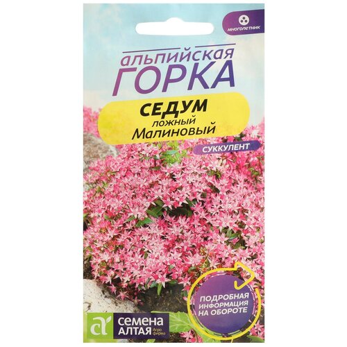 ���������� ������ ������ ����� 