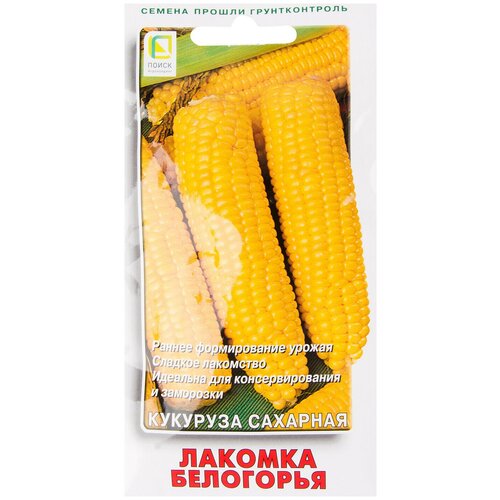 ���������� ������ �������� ������� ���������