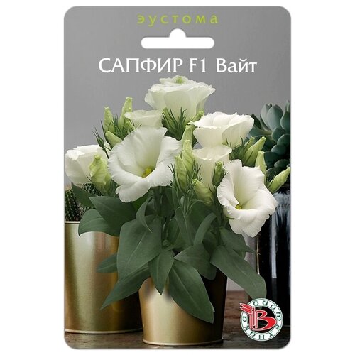 ���������� ������ ������� (����������) 