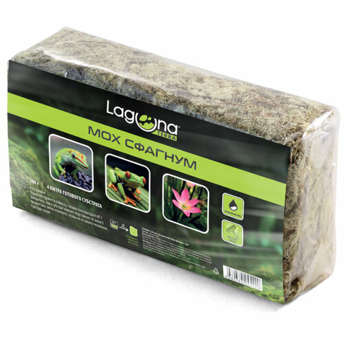 ���������� �������� Laguna ��� �������, 100 �