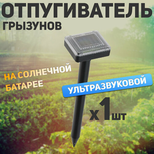 ���������� ����������������� �� ��������, ������������ �������� ��������������, �� ������, �� ��������� �������, ��� ���� � ����