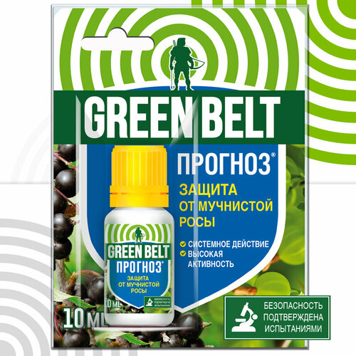 ���������� ����������� �������� �� ��������� ���� 