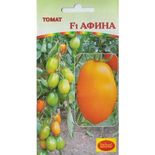 ���������� ������ ����� ����� F1 10�� ����� (�����)