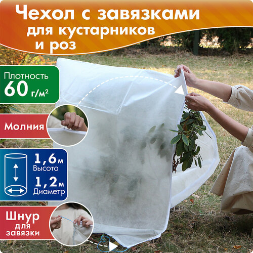 ���������� ����� ��� ����������� � ��� ������ 1,6 �, ������� 1,2 �