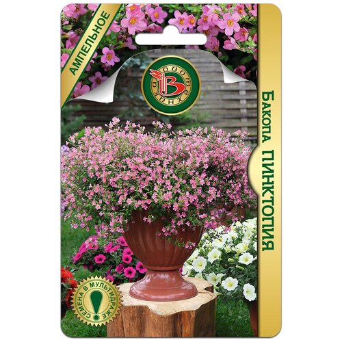 ���������� ����� ������ ��������� (������ ���������� 5��)