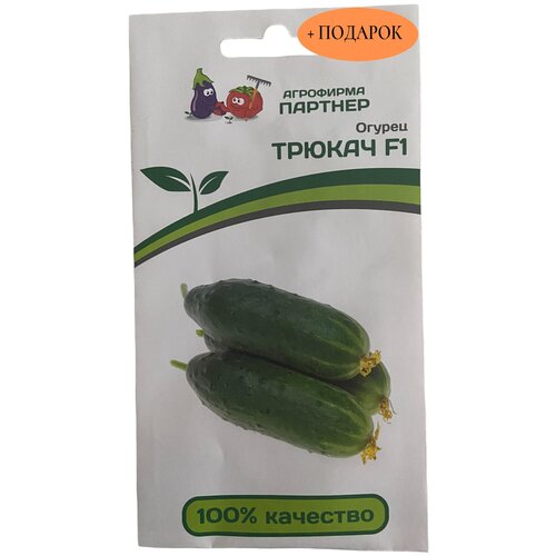 ���������� ������ ������ F1 5 ����� � ��������