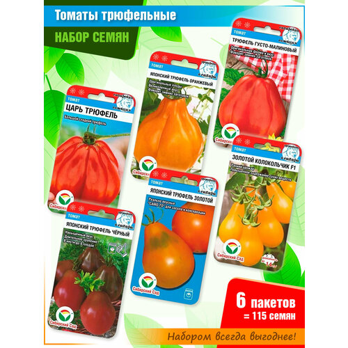 ���������� ����� ����� ������� 