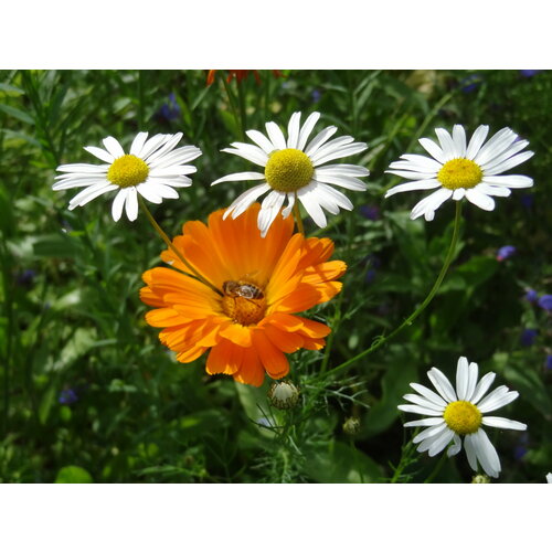 ���������� ��������� ������������� ������ ��� ������ 20 ����� � �������