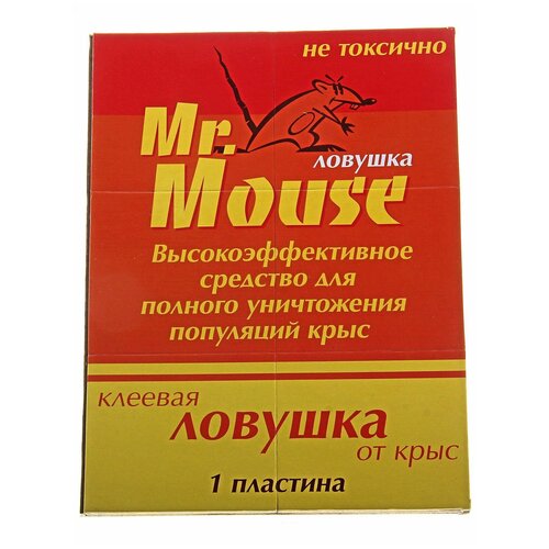     Mr.Mouse,  , 1   , -, 