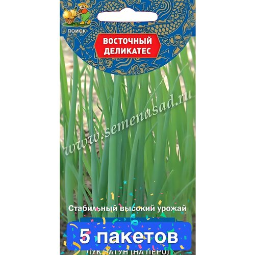 ���������� ������ ������ ����� 