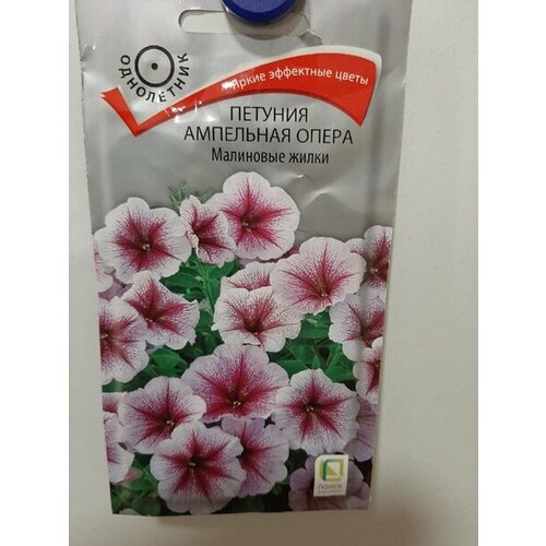 ���������� ������ ������� ����� ��������� ����� ��������� 5�� ��� 100�� (�����)