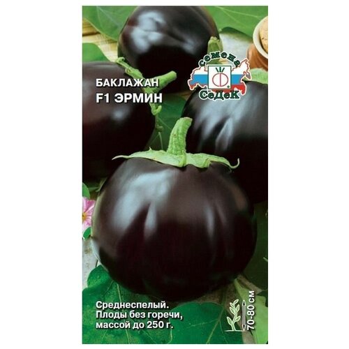 ���������� ������ ����� 