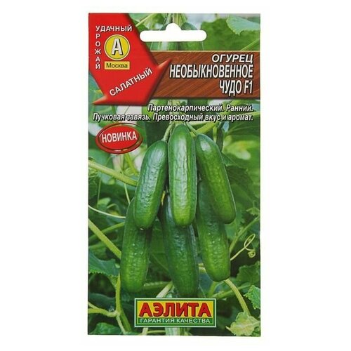 ���������� ������ ������ ����� F1, 3�� �� 0,25�