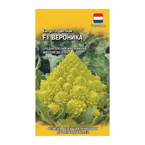 ���������� ������. ������� ������� 