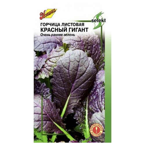 ���������� ������� �������� ������� ������, 200 �����