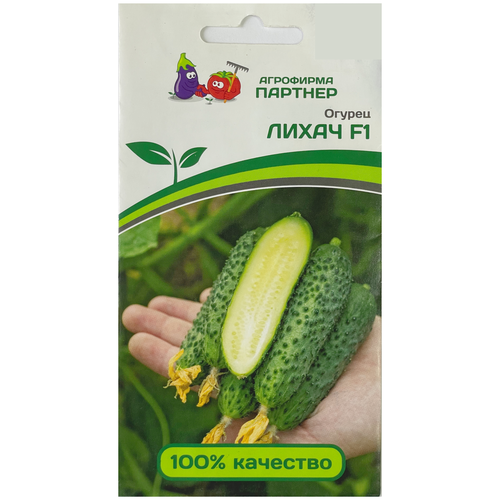 ���������� ������ ������ 