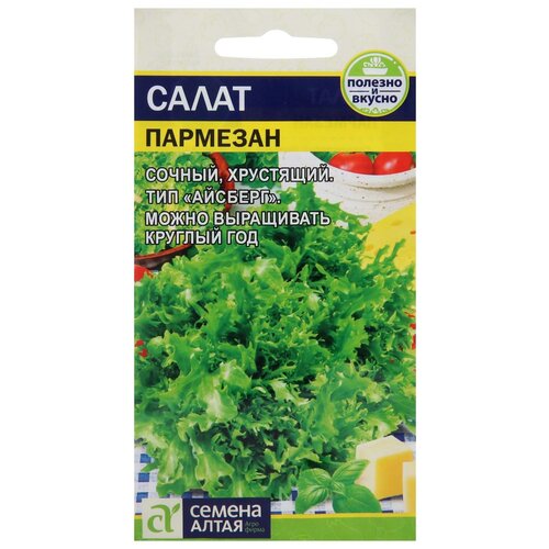 ���������� ������ ����� 