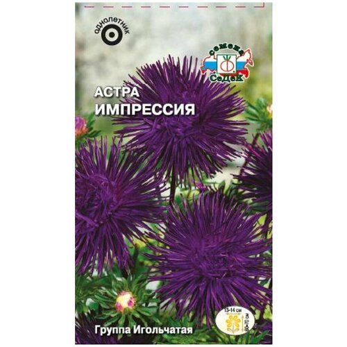 ���������� ������ ����� ���������