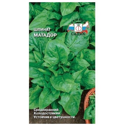 ���������� ������ ������� ����� ������� 2 �