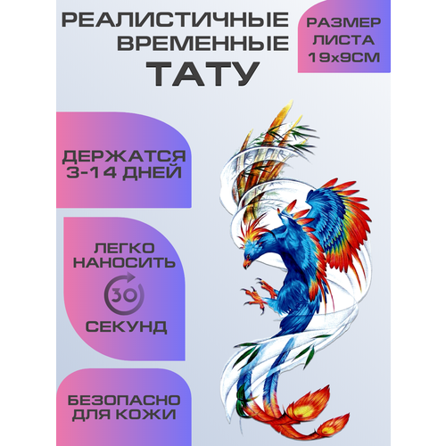 ���������� ���� ���������� ��������������, ��������� ����