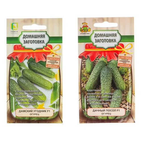 ���������� ����� ����� ������� ����� 