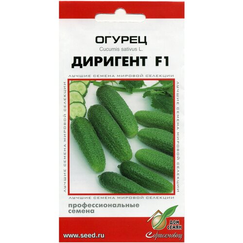 ���������� ������ �������� F1, 6 �����