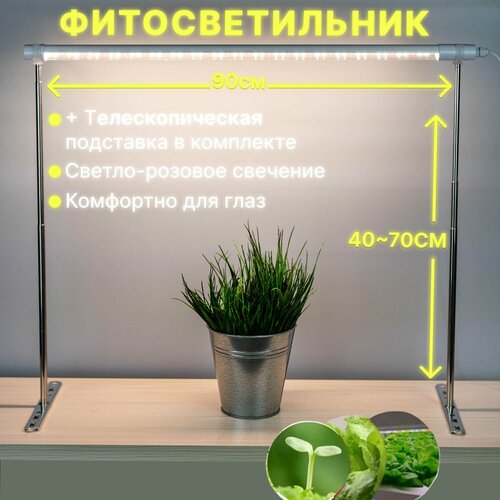 ���������� ��������� ��� �������� � ������� ������� �������, �������� �������������� � ���������� � ���������, ������-������� ��������