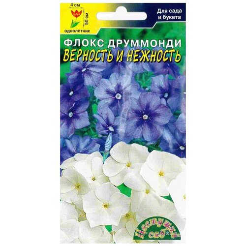 ���������� ������ �������� ��� 