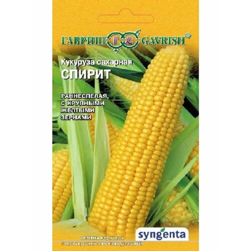 ���������� ������ �������� 