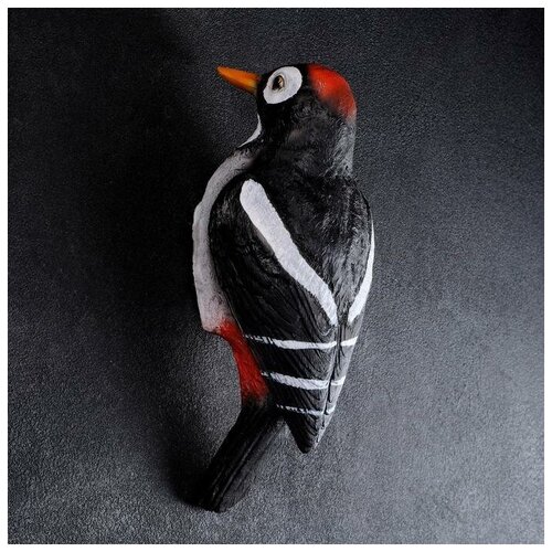 ���������� ��������� ����� 