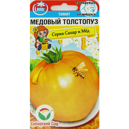 ���������� ������ ����� ������� ��������� 20�� ��� (��������� ���)