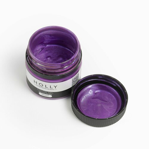 ���������� Holly Professional ���� �� ������� ������ / ������ ��� ����, ����� � ���� Color Gel Violet
