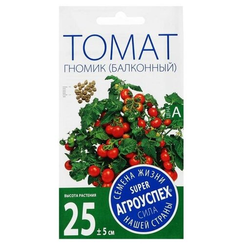 ���������� ������ ����� 