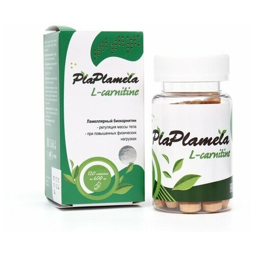 Plaplamela L- - 120    , -, 