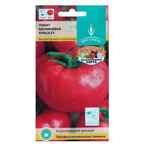 ���������� ������ ����� 