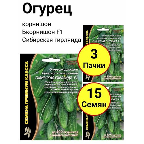 ���������� ������ ������ 