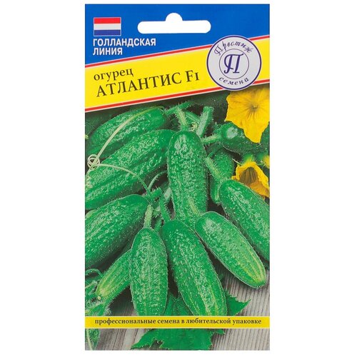 ���������� ������ ������ �������� F1