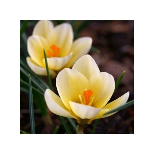 ���������� ������ ������������ ���� ����� 15 ��/��